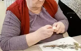 Ogrody zdrowia 2