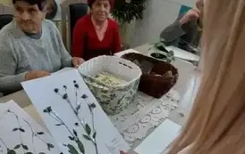 Ogrody zdrowia 10