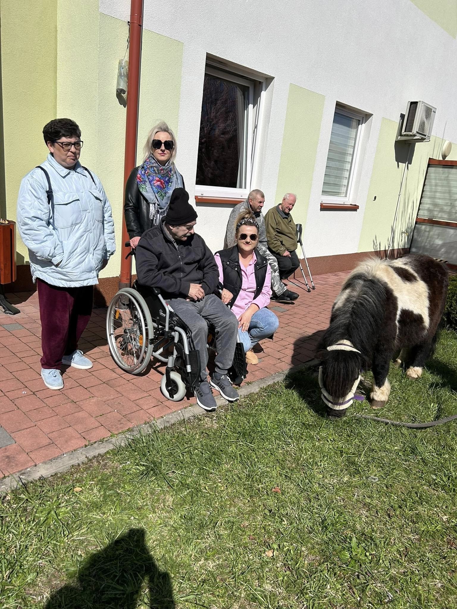 Spotkanie z&nbsp;kucykiem